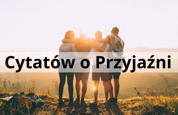 49 Cytatów o Przyjaźni, które są inspirujące i podnoszące na duchu