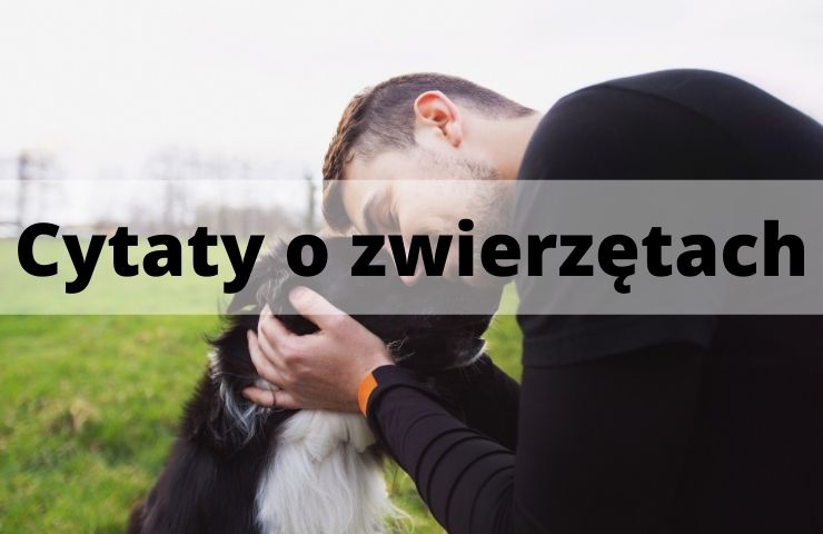 34 Cytaty o zwierzętach